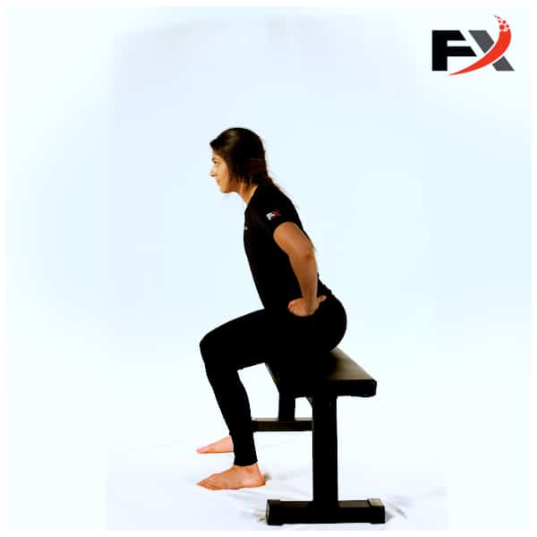 Box Squat FX 39