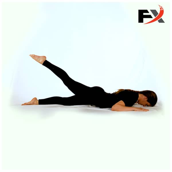 Prone Leg Extension no band FX 17