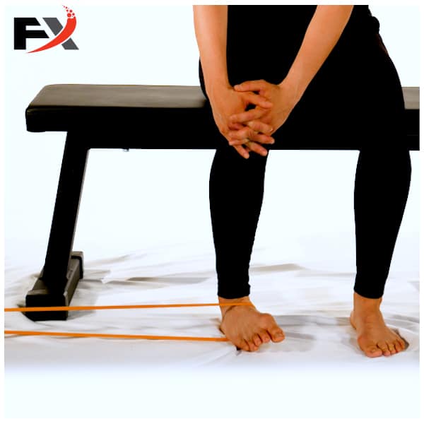 Seated Foot Inversion FX 37