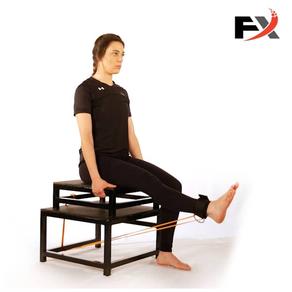 Seated Knee Extension0